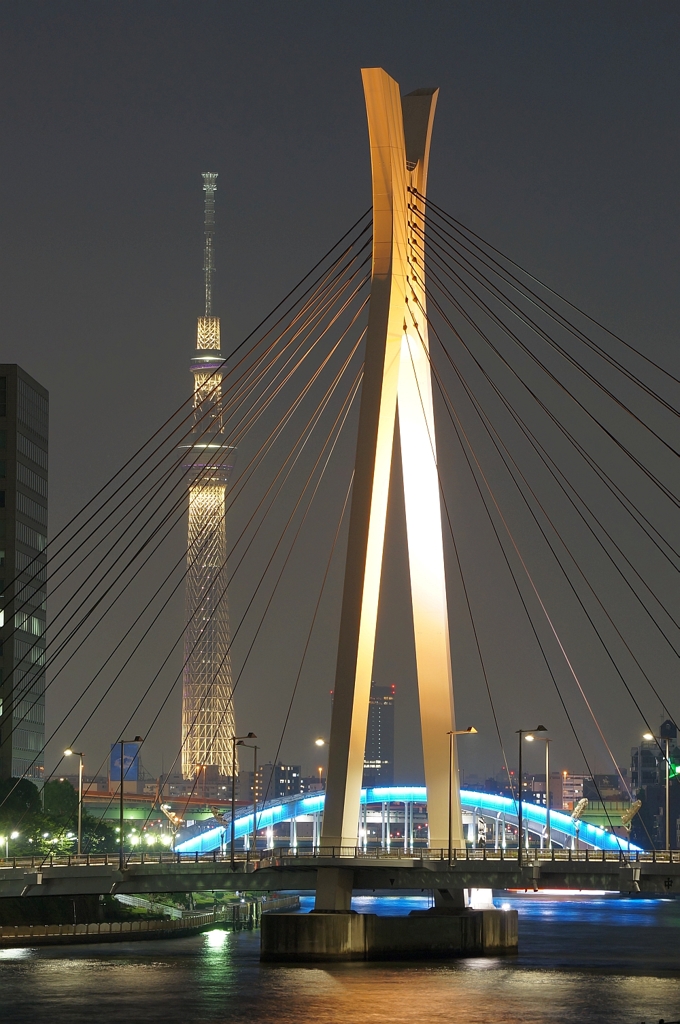 スカイツリーと中央大橋