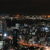 夜景 (125)