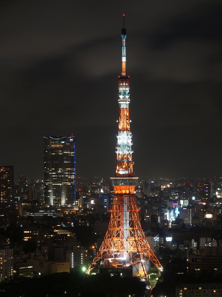 夜景 (25)