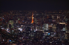 夜景 (72)