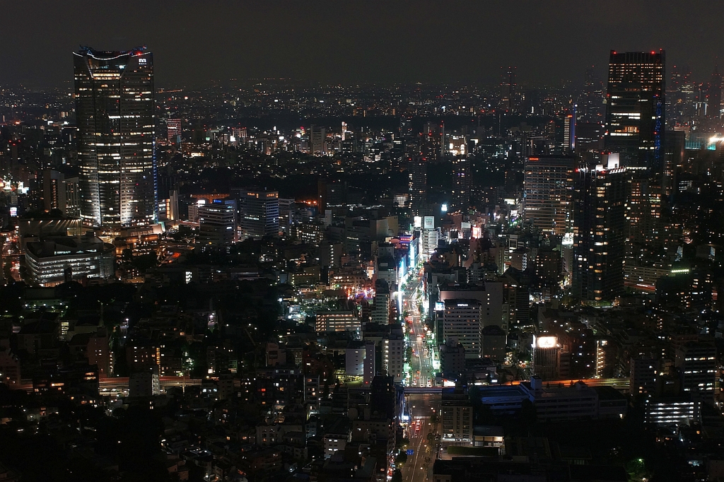 夜景 (37)