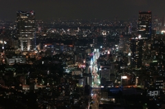 夜景 (37)