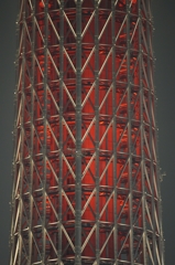 夜景 (21)