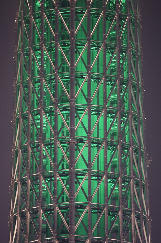 夜景 (22)