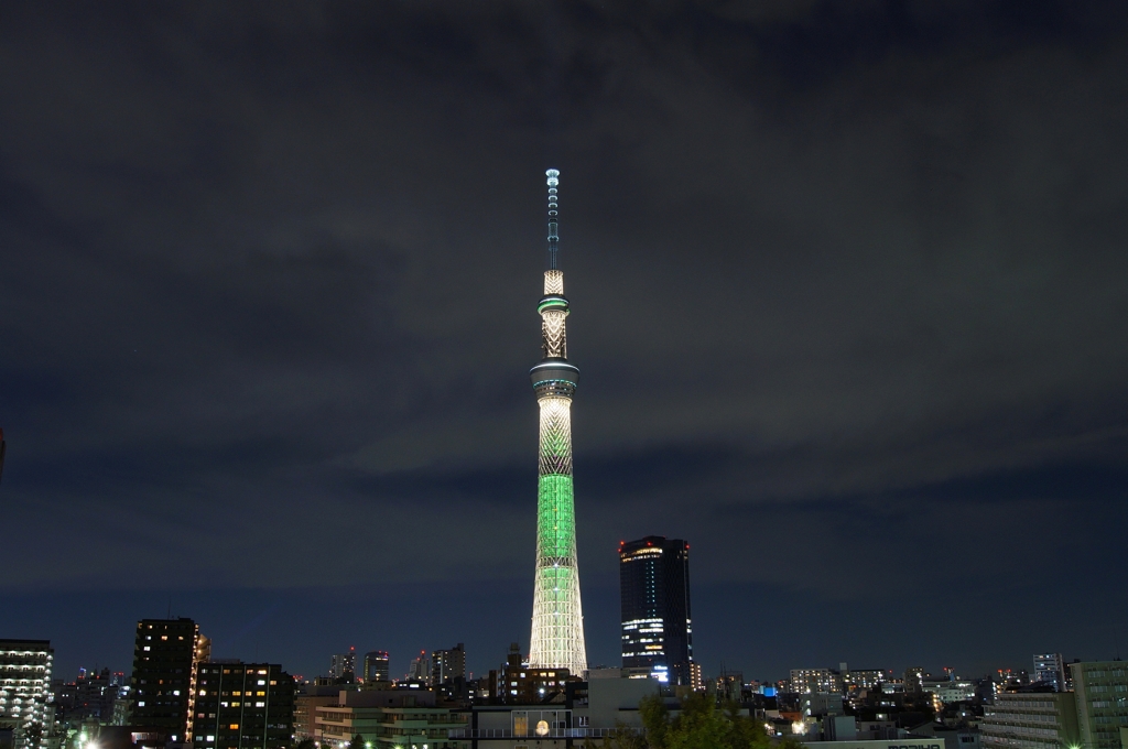 夜景 (63)
