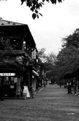 店