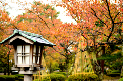 兼六園