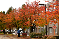 公園