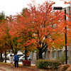 公園