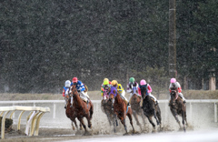 水沢競馬場