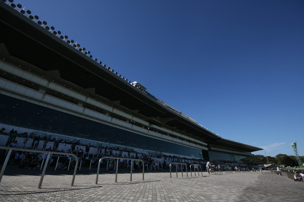 2011年中山競馬場