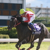 2012年5月4日かきつばた記念（JPN III）