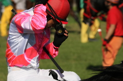 2011年中山競馬場にて