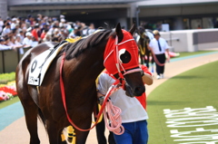 府中競馬場にて初めての写真