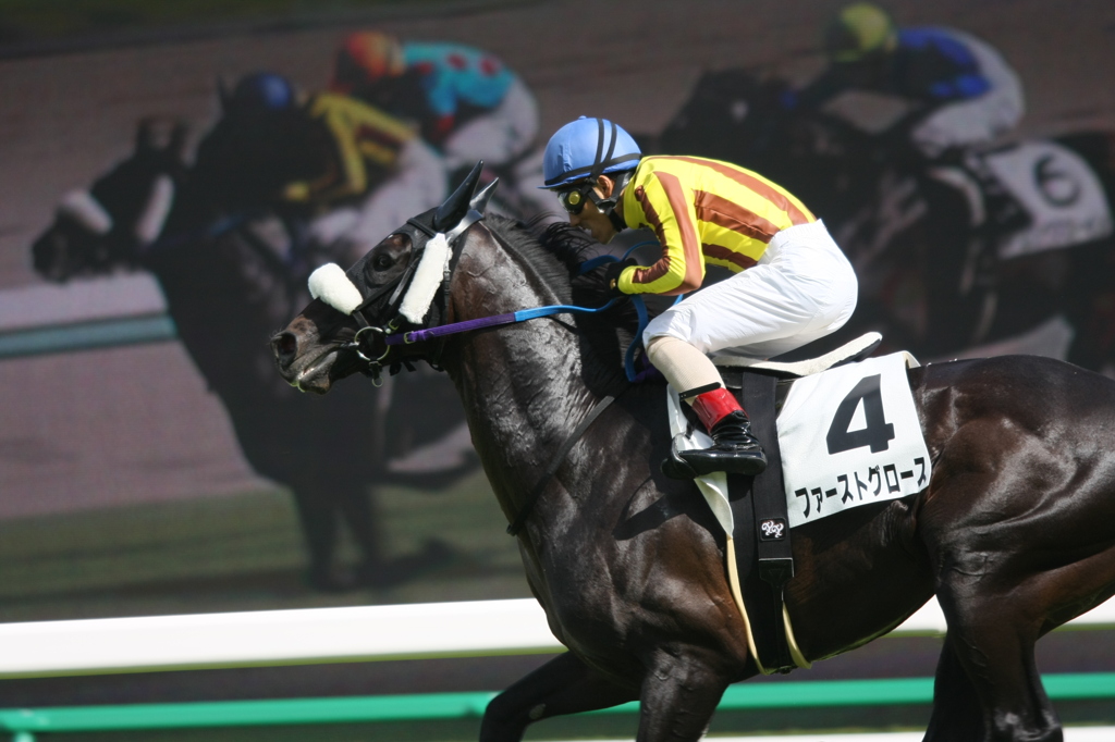 2011年3歳上500万下 ファーストグロース