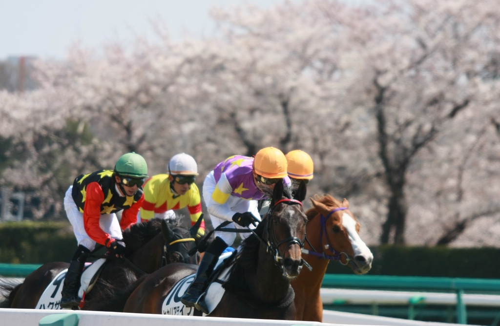 2012年4月8日中山競馬場