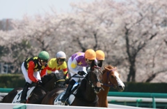 2012年4月8日中山競馬場