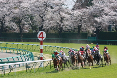 2012年4月8日中山競馬場