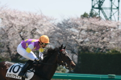 2012年4月8日中山競馬場