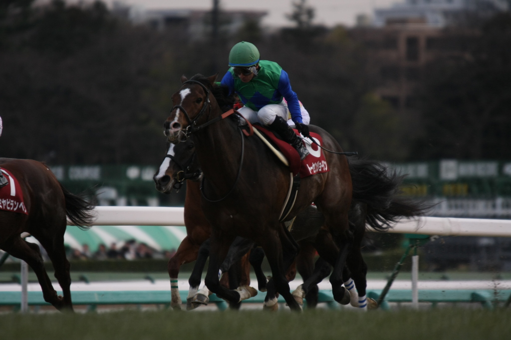 2011年AJCC杯 トーセンジョーダン
