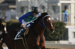 2011年川崎競馬場