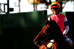 中山競馬場にて