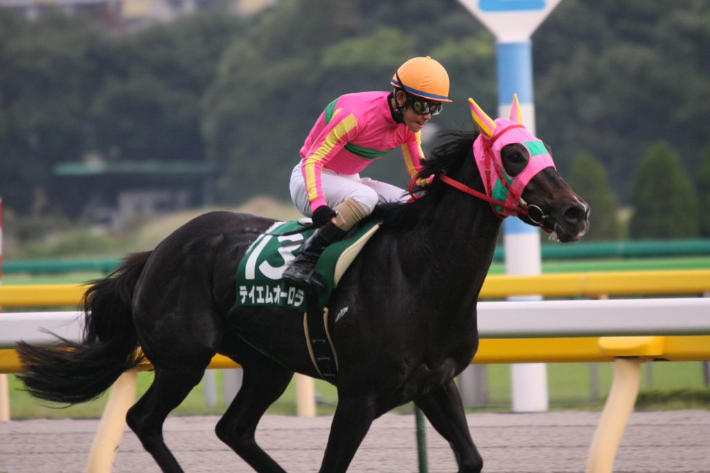 2010年府中牝馬S テイエムオーロラ