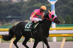 2010年府中牝馬S テイエムオーロラ