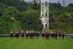 2017年5月21日オークス（GI)ソウルスターリング
