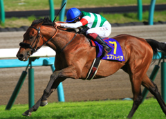 2021年皐月賞 エフフォーリア