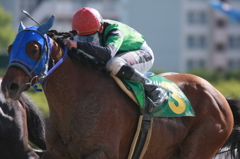 2012年5月4日名古屋競馬場