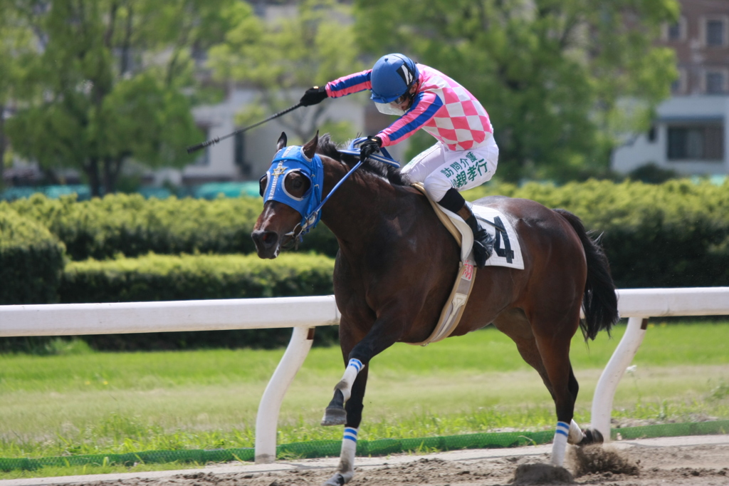 2012年5月4日名古屋競馬場