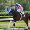 2012年5月4日名古屋競馬場