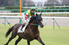 2011年3歳上500万下 マコトヴォイジャー