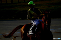 2018/11/23 浦和競馬場にて
