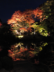 逍遥園2