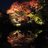 逍遥園2