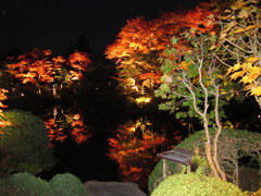 逍遥園