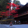 東照宮2