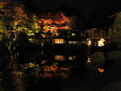 逍遥園5
