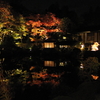 逍遥園5