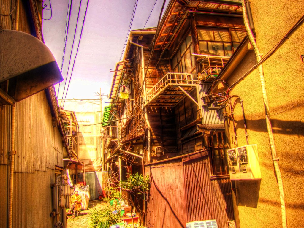陰日向に咲く