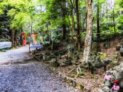方広寺参道