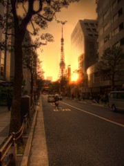 哀愁の東京タワー