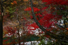 真紅色