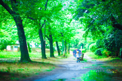 雨上がりのあと。