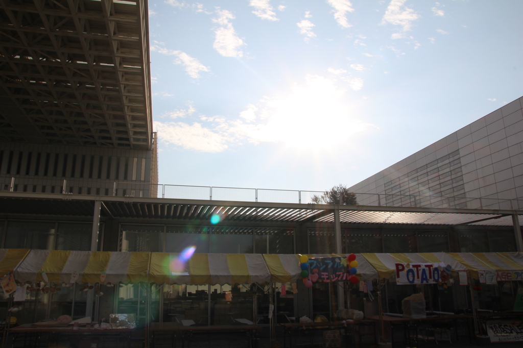 大学の風景