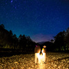  nature night