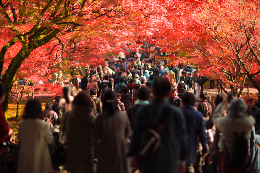 紅いトンネル