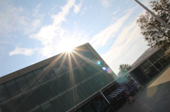大学の風景その２
